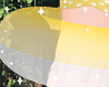 ♡ Pool Tube Yellow