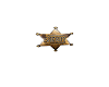  Old Sheriff badge