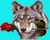 Wolf Holding Rose