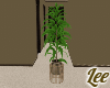 Manor~PlantV1