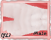 {FL}Axolotl Kini