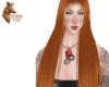vs ginger gold