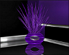 [X]Purple Haze Plant