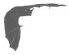 Transparent Bat