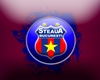 .S. Steaua Club