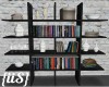 {iiS} Modern Bookshelves