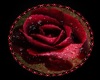 Red Rose Round Rug