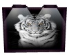 *LL* Tiger picture Frame