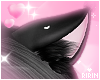 Black Kitty Ears