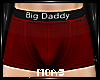 ~Red Big Dad Briefs~