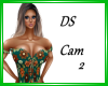 DS Cam 2
