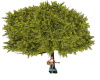 Big Ole Friends FunTree