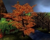 Autumn Falls Tree