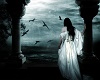 GOTHIC PICTURE43