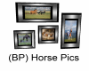 (BP) Horse Pics