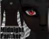 MidnightPanther-MaleFur