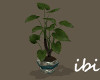 ibi Leafy Plant