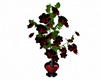 Animated Roses BlackRed