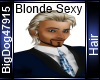 [BD] Blonde Sexy Hair