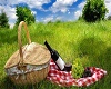 summer time picnic