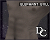 ~DC) Elephant Bull Skin