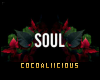 MacBook-Soul