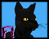F! Black Cat Head
