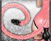 [CS] Pinkitty Tail