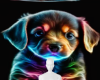 Cute puppy background