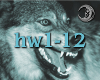 (HW1-12)HungryWolf1