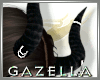 G* DEMONESS Horns