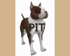 Pit Bull Dog Pet