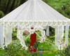~AQ~ wedding tent white!