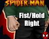 PBP: Fist / Hold Right M