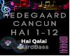 HEDGEAARD- Hai Qalai