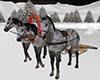Russian trio horses