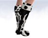 NVO/Trendy Cow Boots 2