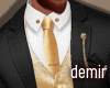 [D] Mine gold suit