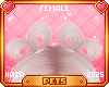 [Pets] Suki | buns v1