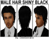 MALE HAIR SHINY BLACK