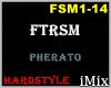 ᴹˣ FTRSM - HS