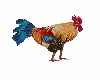 RANCH LEGHORN ROOSTER