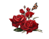 Red Rose and Butterfly