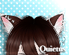 ☽ Kitty Choco | Q