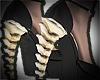 vertebrae