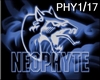 Noephyte