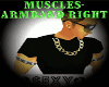 [RC]MUSCLES-ARMBAND RIGH