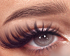 Eyebrows | Bai V1