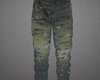Ma Crystal Painted Jeans