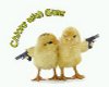 Chicks&Guns